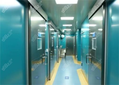 上海伯思立內(nèi)部