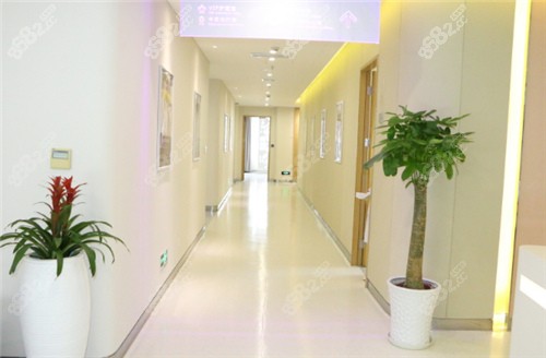 上海美莱医疗美容走廊环境