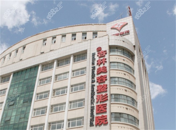 崔昌墉小拉皮价格