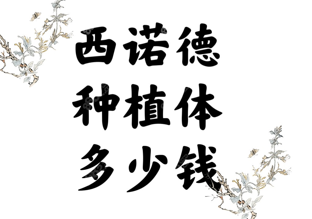 西诺德种植体多少钱