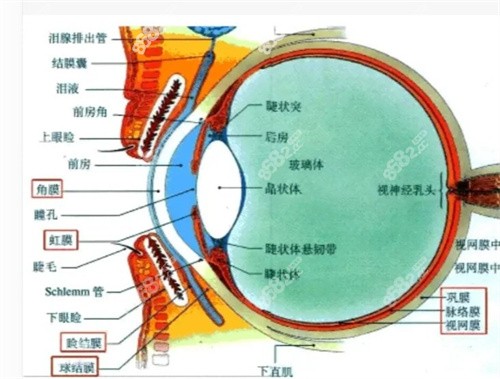 视网膜脱落做手术需要住院几天？