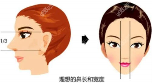 成都艾米麗整形醫(yī)院做鼻子哪個醫(yī)生好？