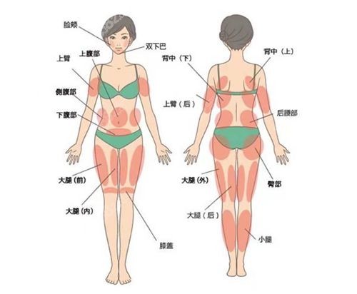 北京京韩整形孙波吸脂价格表