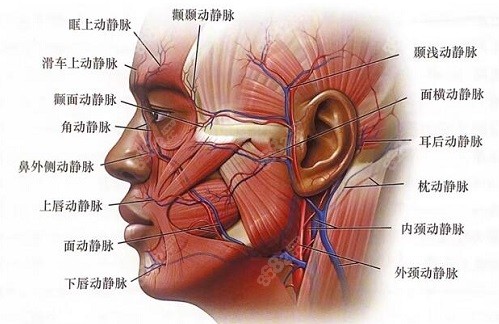 北京加减美穆宝安V美减龄V6优势