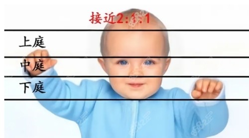 馒化脸和幼态脸区别有哪些？