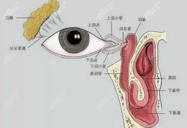 鼻腔吻合术是微创手术