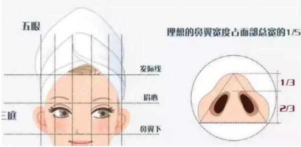叶丽萍医生隆鼻的示意图