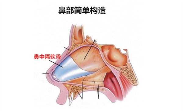 董玉林医生做鼻子怎么样