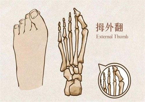 苏敬达在哪家医院坐诊