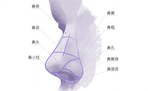 杭州艺星整形医院隆鼻怎么样