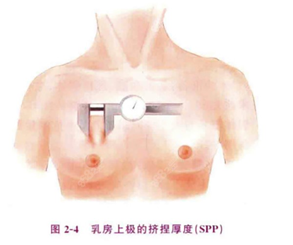 薛瑞隆胸怎么样