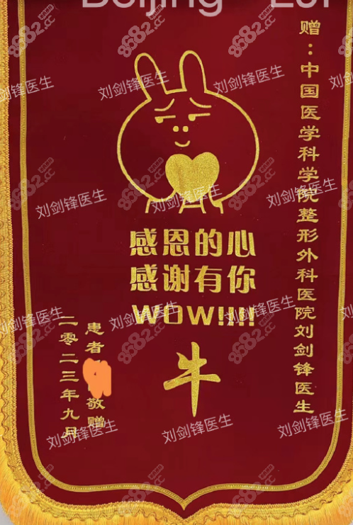 <!--<i data=20240705-sp></i>-->醫(yī)生獲得的錦旗