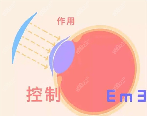 十大ok镜品牌排行榜