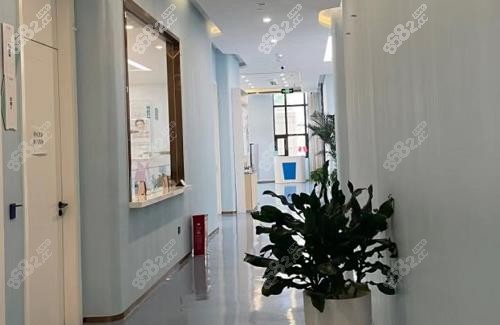 成都薛瑞胸部為什么那么貴