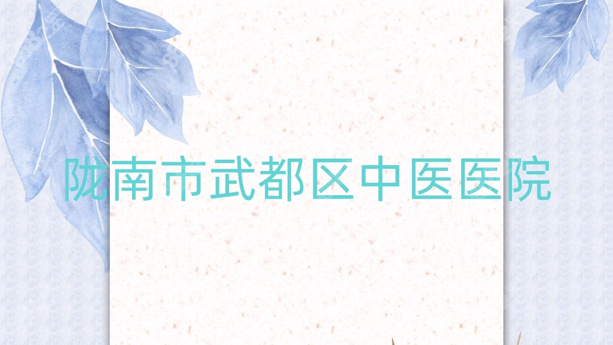 陇南市武都区中医医院