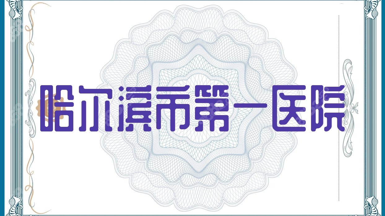 哈爾濱<!--<i data=20240705-sp></i>-->