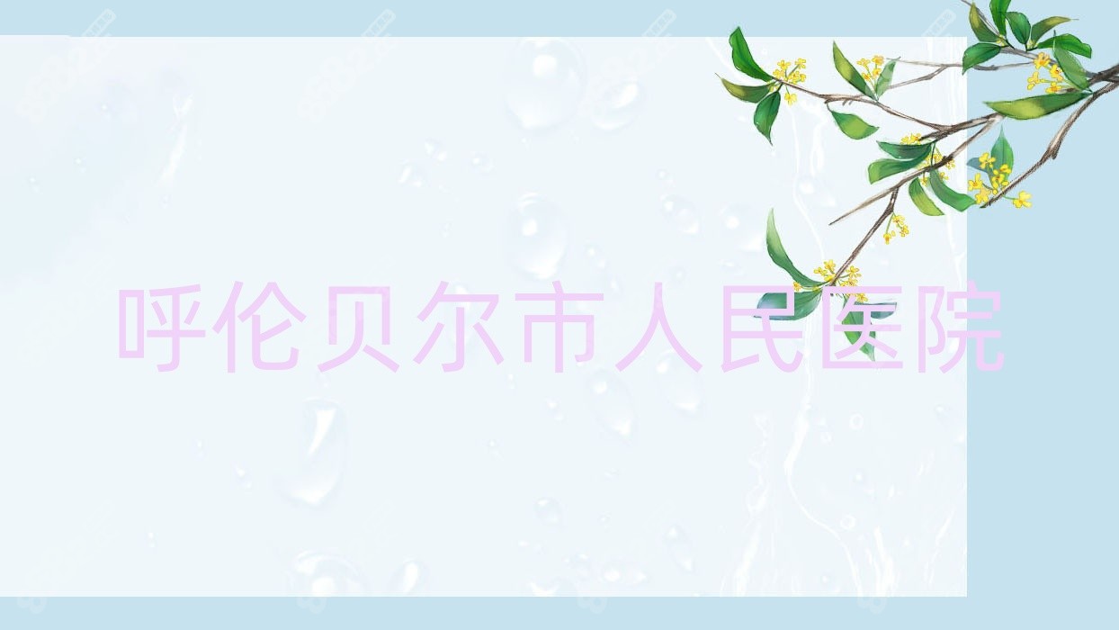 呼伦贝尔市<!--<i data=20240705-sp></i>-->
