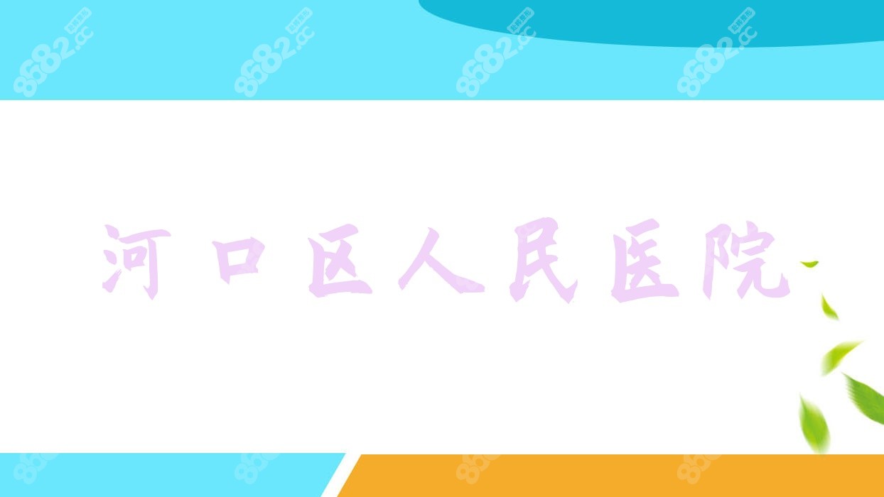 河口区<!--<i data=20240705-sp></i>--> 河口区<!--<i data=20240705-sp></i>-->