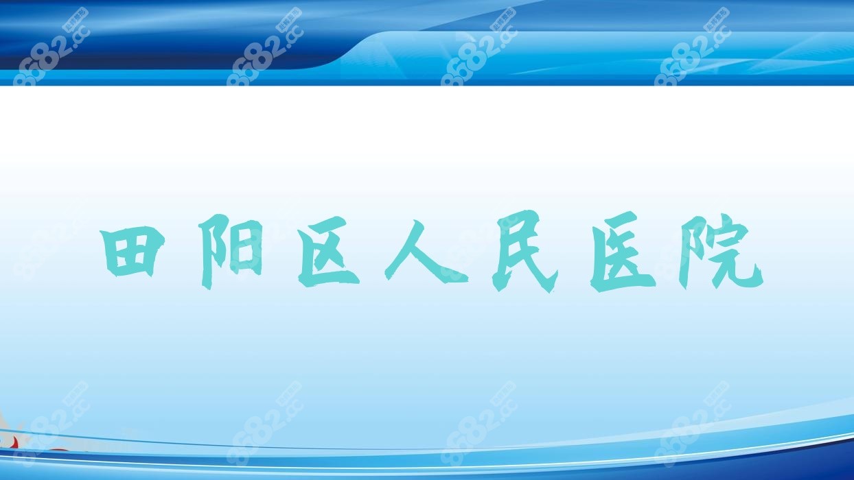 田阳区<!--<i data=20240705-sp></i>-->