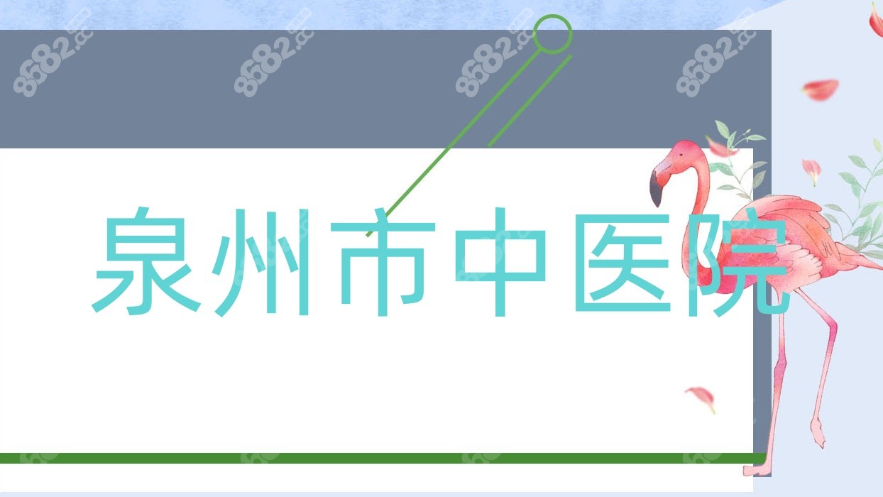 泉州市<!--<i data=20240705-sp></i>-->