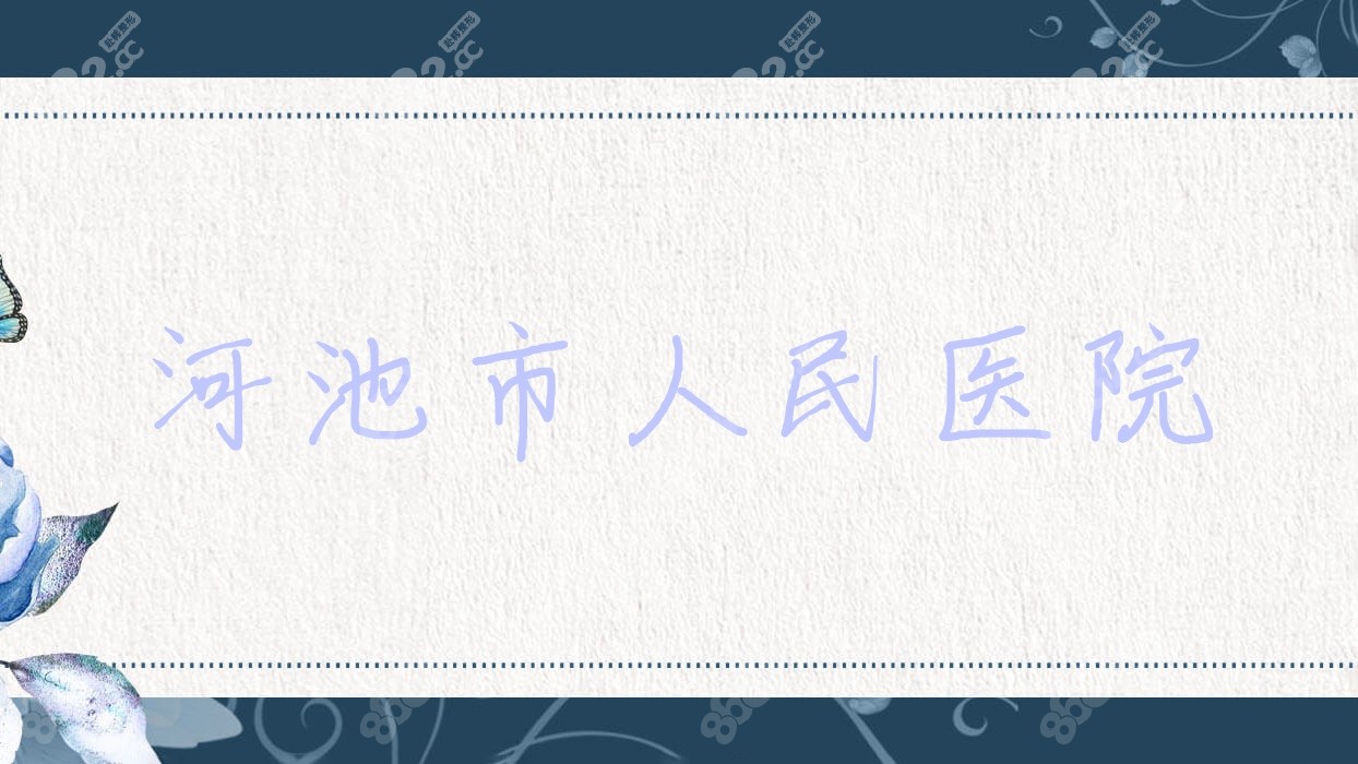 河池市<!--<i data=20240705-sp></i>-->