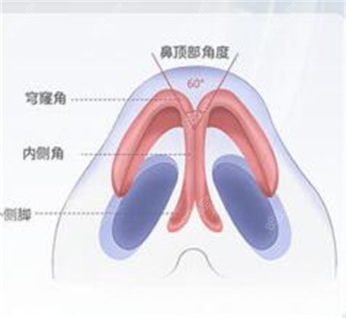 艺星隆鼻鼻尖防冲