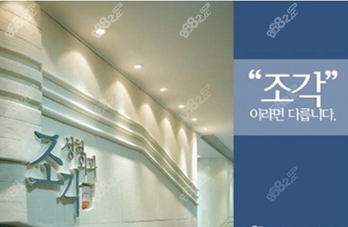 韩国雕刻整形医院