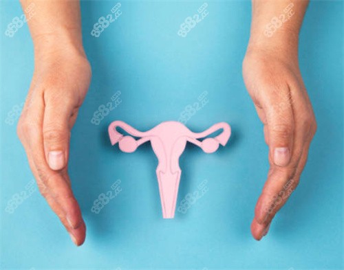 女性私密示意图