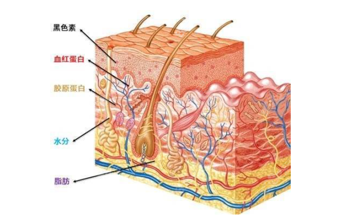 宁波激光美容哪家好？（m.8682.cc）