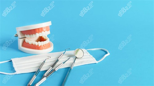牙科模型图展示.jpg