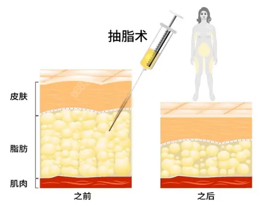 深圳<!--<i data=20240705-sp></i>-->医生的真实顾客口碑评价