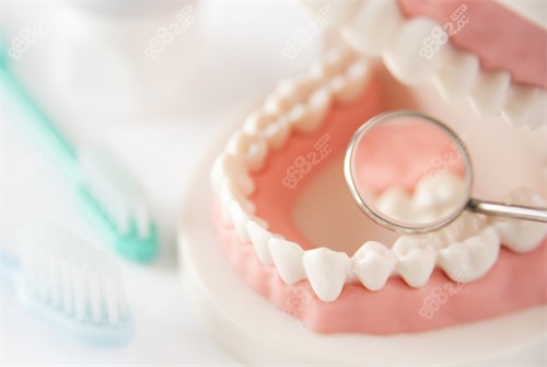 牙科牙齿模型.jpg