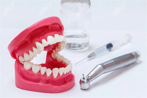 牙科模型图示.jpg