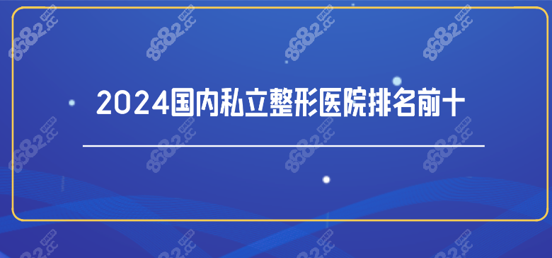 2024年国内私立整形医院的前十