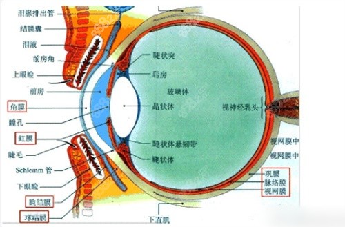 做完后巩膜加固术后度数疯涨正常吗