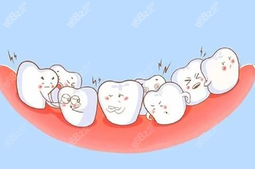 智齿照片