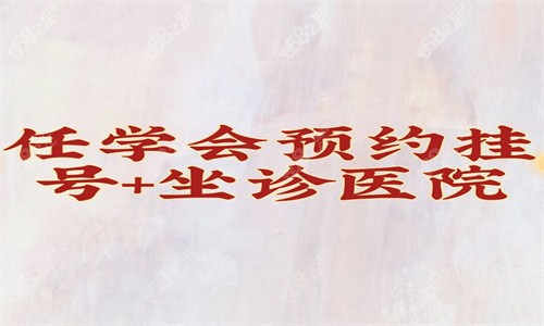 任学会怎么预约挂号