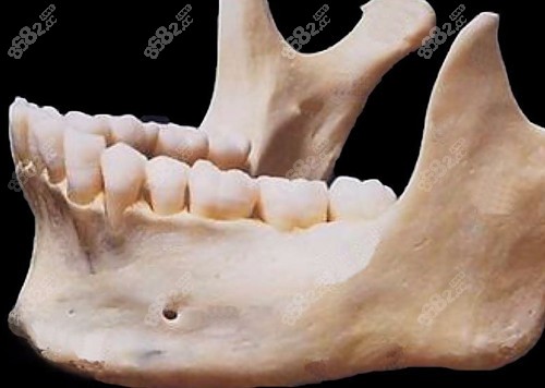 下颌骨结构示意图