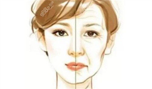 不同年龄段皮肤的变化
