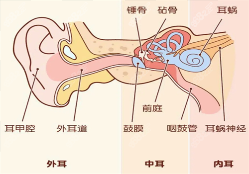 耳再造手术图