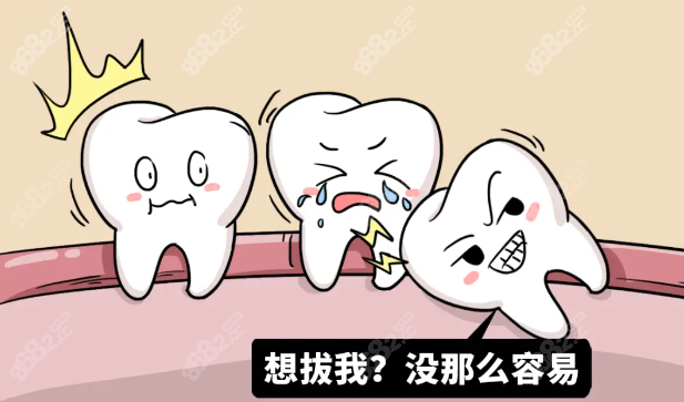 拔智齿价目表