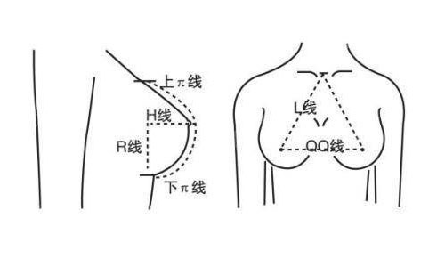 乳房再造美学图