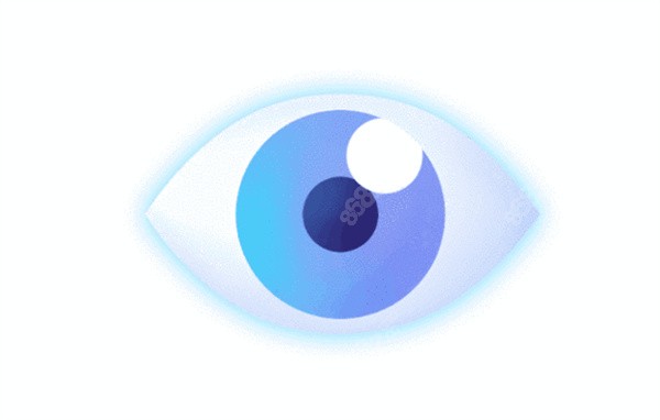 眼睛