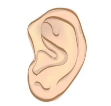 张天宇耳再造预约多久能做手术-要一星期来看全耳再造疗效