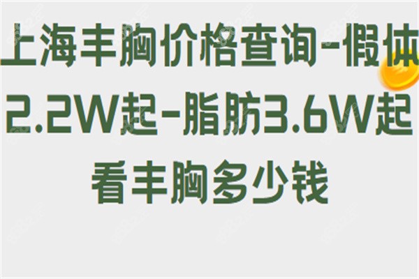 上海假体隆胸价格查询