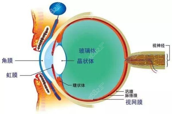 长春恒达眼科医院做视网膜色素变性手术医生推荐