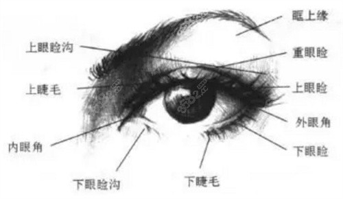 车红昌双眼皮手术价格多少钱？