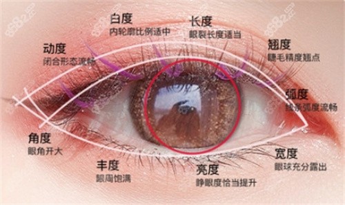 温科磊修复双眼皮