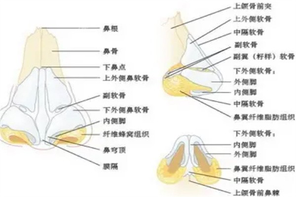 北京英煌医院王勋