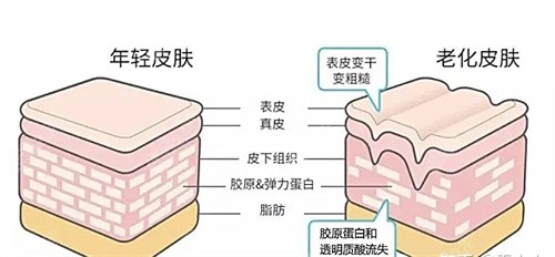 馒化脸修复医生蒋铮铮医生